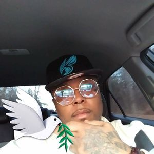 Meet your Posher, Rose